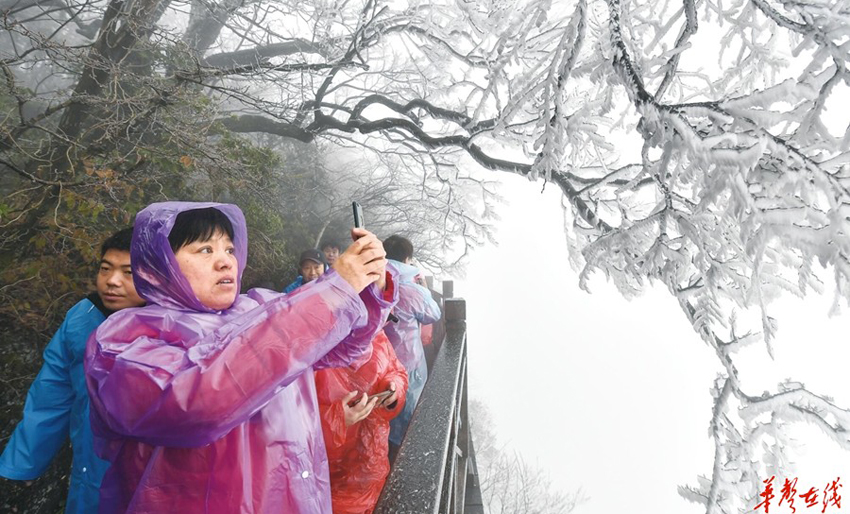 张家界：雾凇美景引客来
