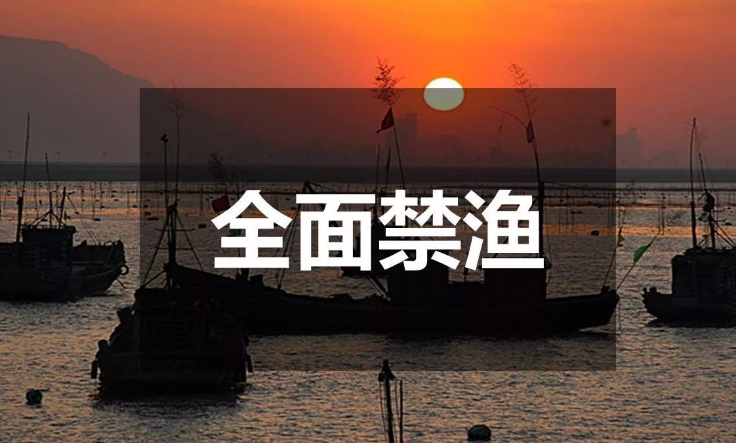 明年1月1日起，常德沅澧河段及洞庭湖水域实施10年禁捕