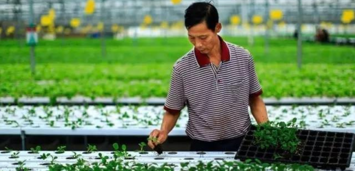 长沙乡村振兴人才政策兑现！首批认定10名新型职业农民