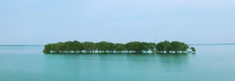 中国洞庭湖治理上演绿草造&ldquo;金山&rdquo;