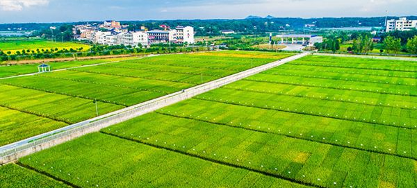 碳科技60、碳科技30发布 湘股隆平高科入选样本股