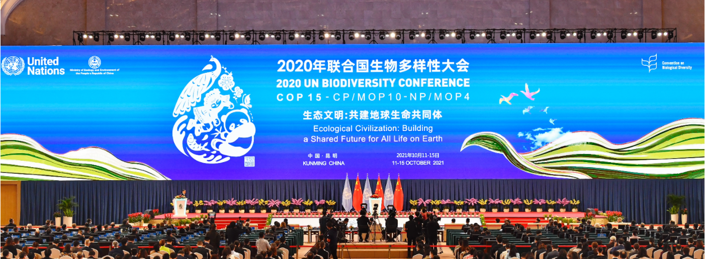 COP15第一阶段会议昆明开幕 湖南向世界推介生物多样性保护成果