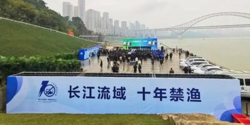 湖南&ldquo;十年禁渔&rdquo;开局良好 鳤鱼重现江湖