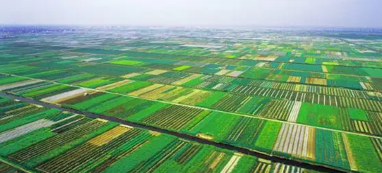 湖南加强公示地价体系建设和管理