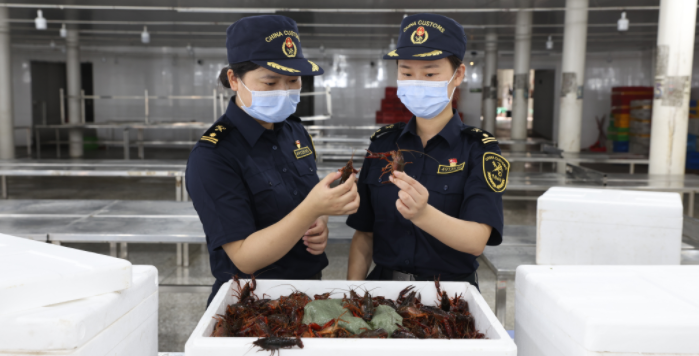 湖南鲜活小龙虾首次出口菲律宾