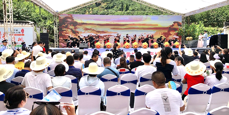 2022年炎陵黄桃大会举行，现场签约采购9750吨
