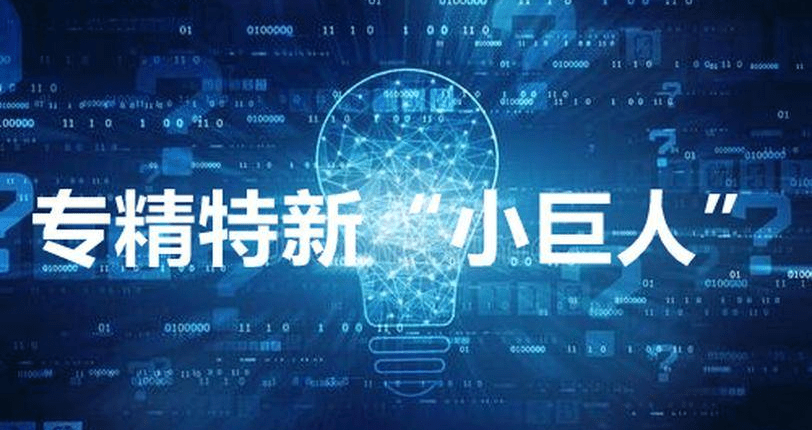 工信部公示第四批专精特新&ldquo;小巨人&rdquo;企业名单，湖南174家企业入选