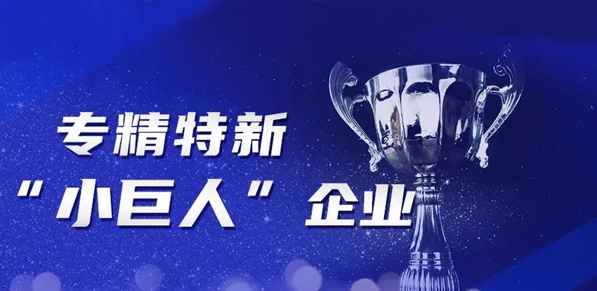 株洲凭什么国家级&ldquo;小巨人&rdquo;数量，单位密度全国第一