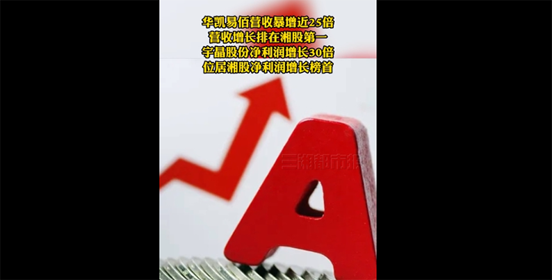 上半年7家湘股营收过百亿 10家湘股净利润超过10亿元