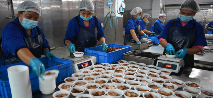 沙子岭猪产业集群成链 开发130多个预制菜产品