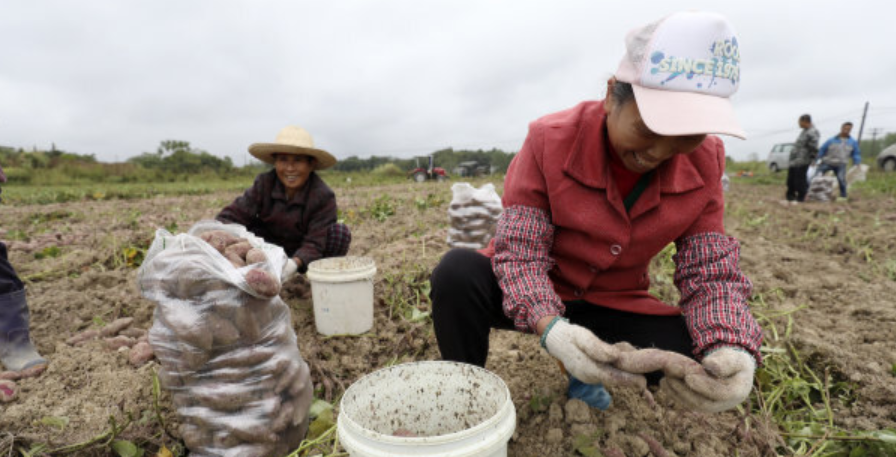 7月8日以来湖南平均降雨量历史最少