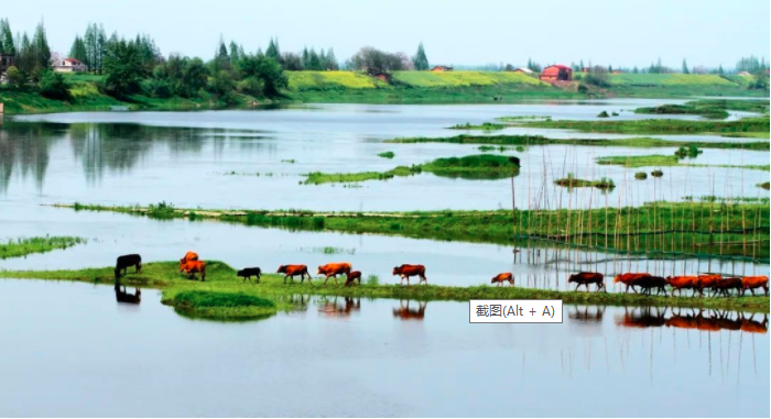 湖南湿地保护修复&ldquo;十四五&rdquo;专项规划发布 构建&ldquo;一区四带一网多点&rdquo;湿地保护布局