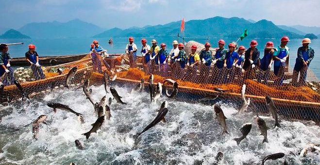 湖南淡水产品总量居全国前五 全省渔业经济总产值逼近千亿元