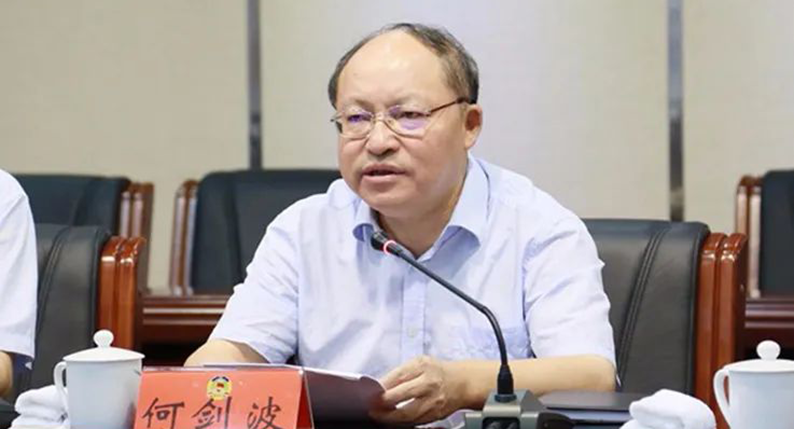 株洲市委原常委、市人民政府原常务副市长何剑波接受审查调查