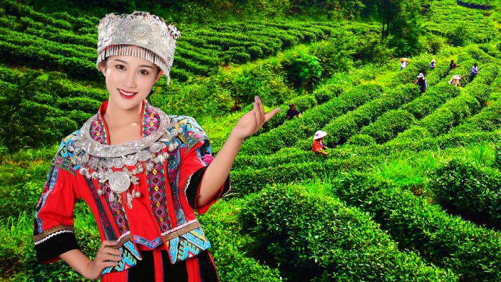 新化红茶，能突围吗！