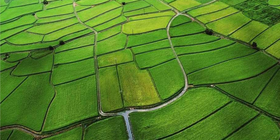 湖南对耕地实施&ldquo;赋码&rdquo;管理！全省耕地数量现&ldquo;进大于出&rdquo;重大拐点
