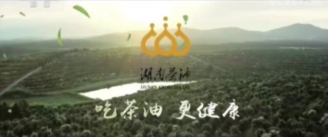 &ldquo;湖南茶油&rdquo;品牌影响力进入全国&ldquo;TOP 100&rdquo;