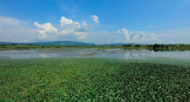 以洞庭湖湿地为重点、湘资沅澧生态廊道为主线 湖南省力推&ldquo;一湖四水&rdquo;生态绿环建设