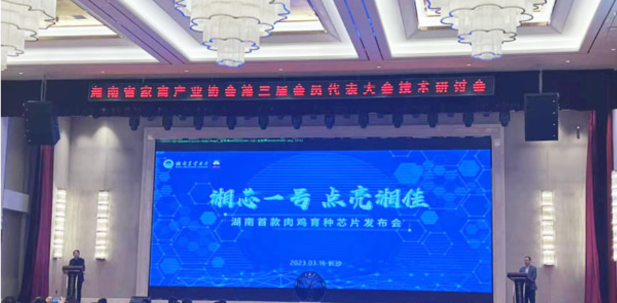 湖南首款肉鸡育种芯片&ldquo;湘芯一号&rdquo;正式发布