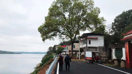 我们把路修好，等马英九回乡！