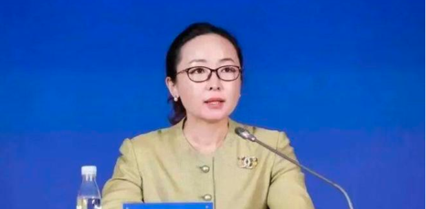 &ldquo;75后&rdquo;女厅官任北京市台联党组书记，她是湖南桃源人