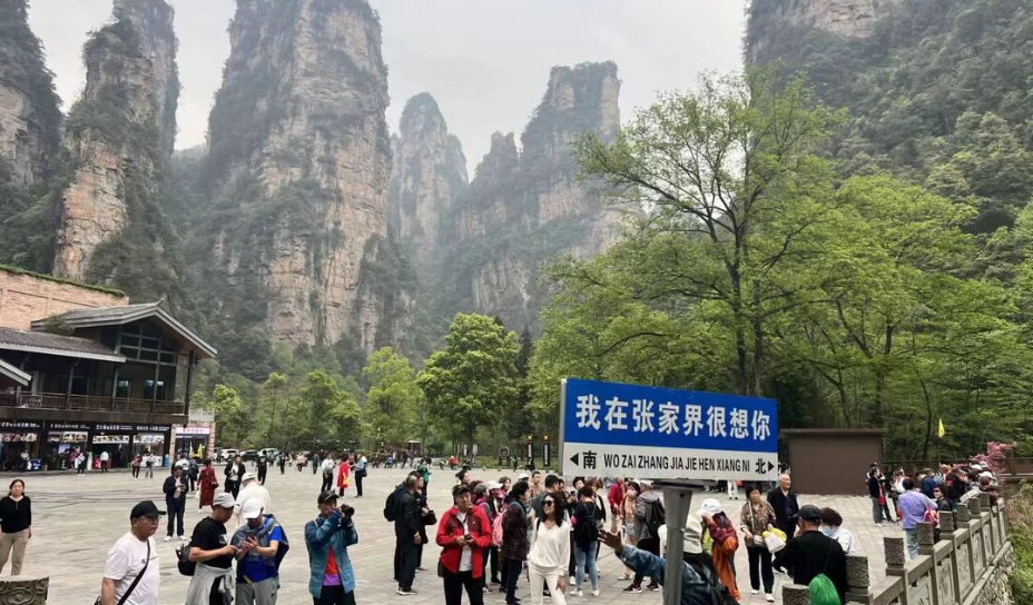 超5万人停止售票！4月23日起，张家界国家森林公园实行分时分站预约购票入园