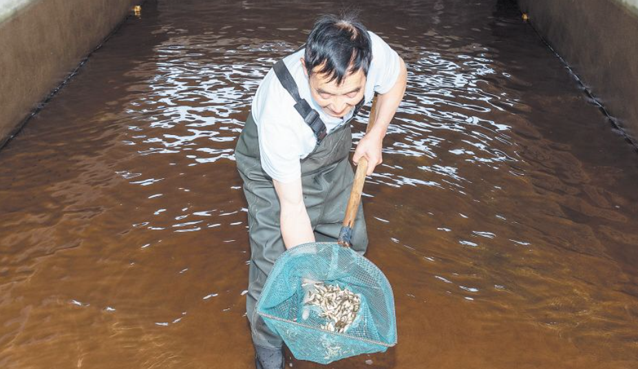 浏阳乌龙渔场成国家级水产健康养殖示范场，年产值近800万元