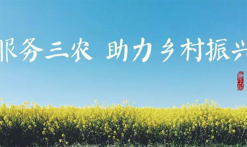 聚焦支小支农支新 省中小担保公司在保规模逾200亿元