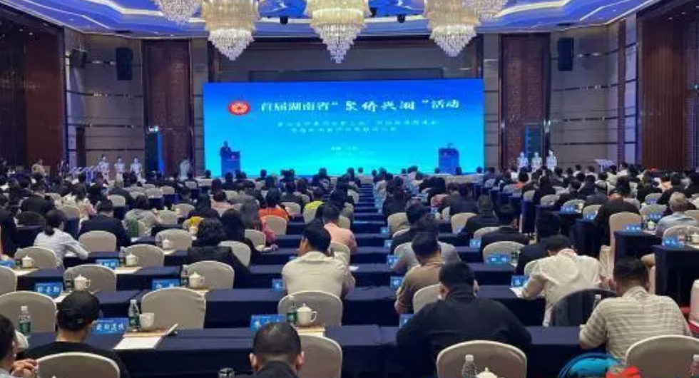 湖南3年促成海外侨商投资项目资金逾200亿元