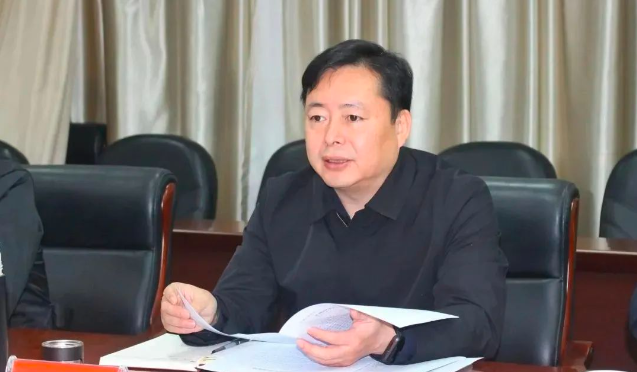 熊炜当选益阳市人民政府市长
