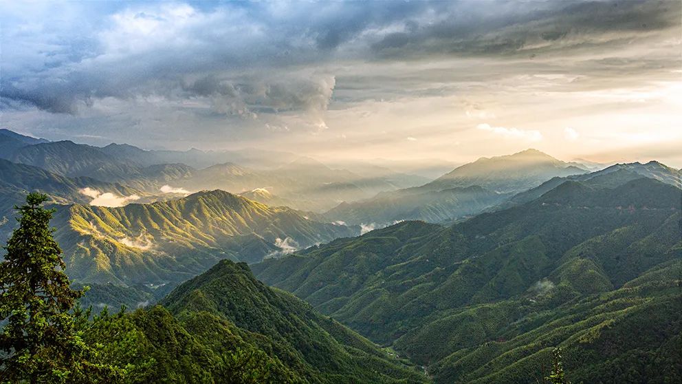 16 万人口的山区县炎陵，为何能玩转工业？