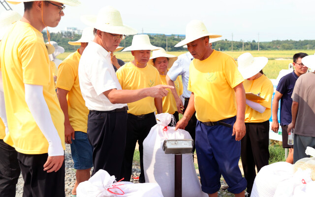 湖南1816万亩早稻喜获丰收 单产略高于上年