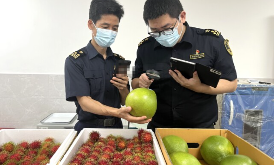 进口水果&ldquo;涌&rdquo;进长沙 ​平均每天2.9吨
