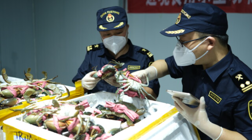 张家界机场口岸国际货运业务恢复运行