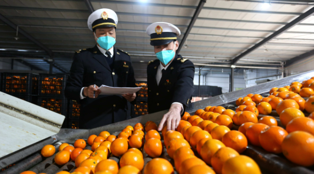 长沙海关发布深化中非海关合作二十项措施 推动更多非洲优质产品进口