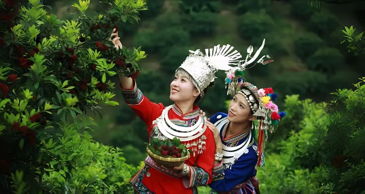 靖州的发展蓝图，或对湘桂黔边区意义重大