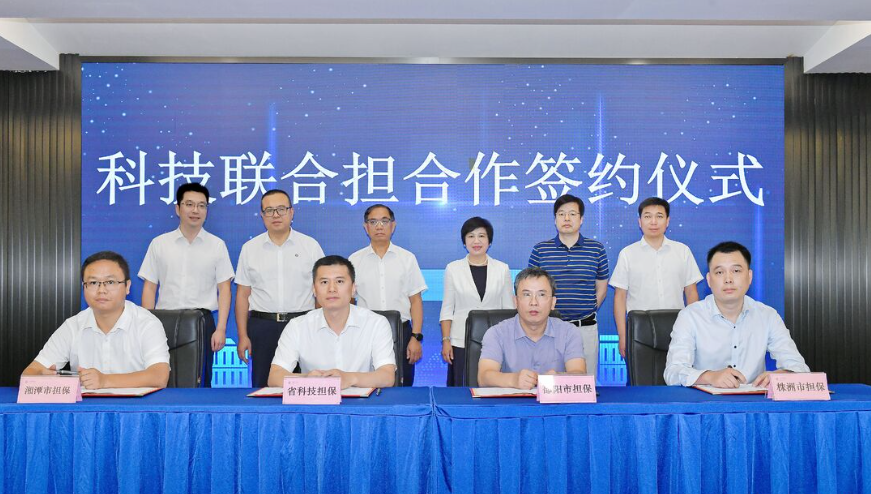 湖南省再担保体系成员机构达55家 业务规模突破2000亿元