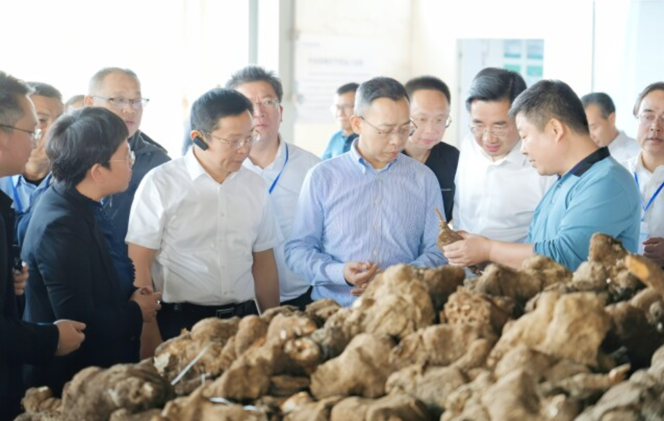 湖南林下经济年产值超600亿元
