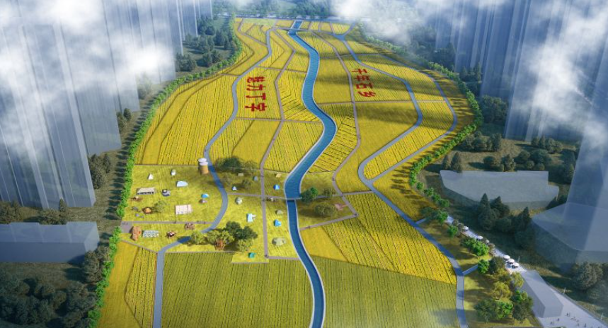 即将施工！长沙这里将新增一个城市稻田公园