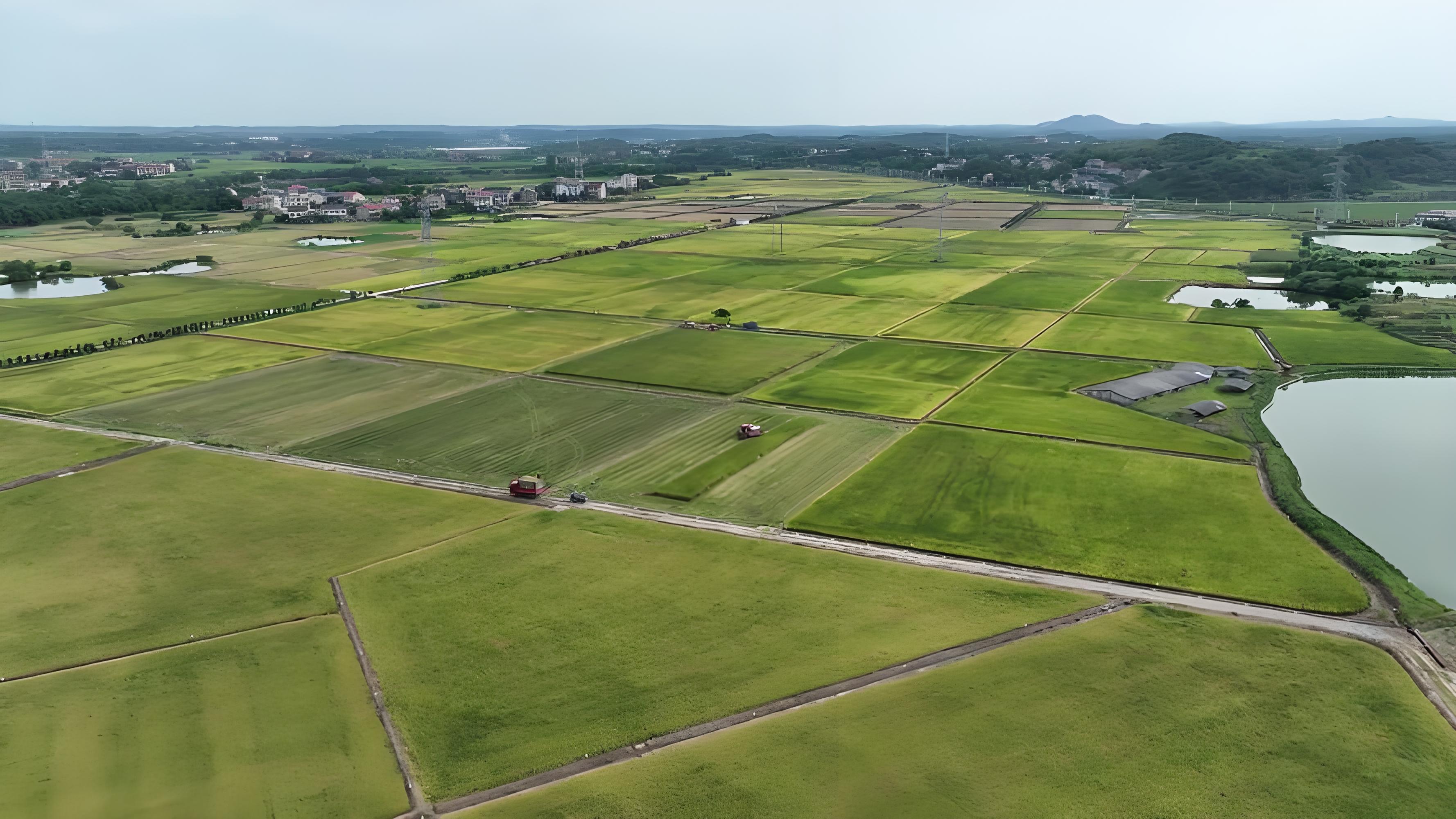 湖南推进&ldquo;国家储备粮源基地&rdquo;建设 订单面积已突破千万亩