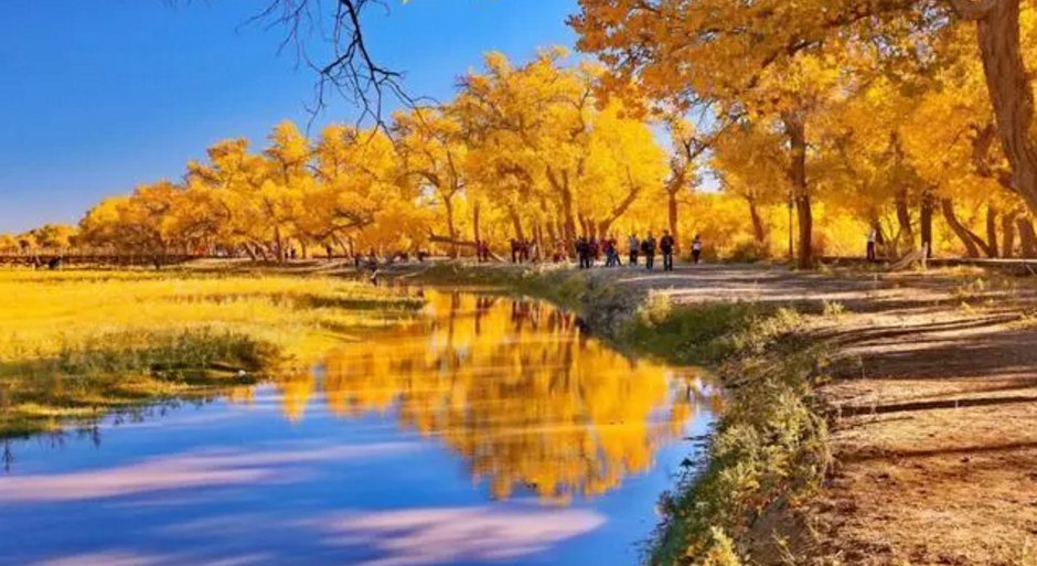 11月份国内最佳出游5大景点，自驾游的不二目的地，感受深秋美景