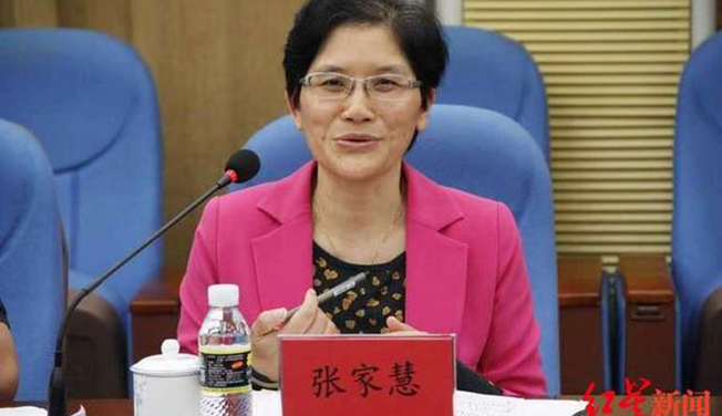 联合调查组：张家慧丈夫控制或参股公司25家，资产逾18亿