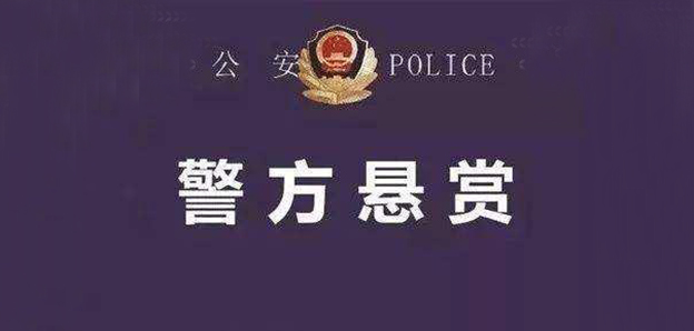 三亚悬赏50万通缉涉黑团伙女头目：多年垄断俄罗斯游客地接服务