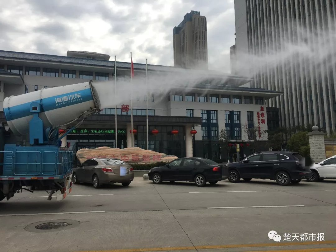 点击查看大图