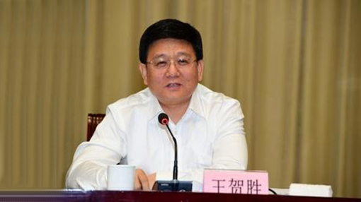 王贺胜同志任湖北省委委员、常委