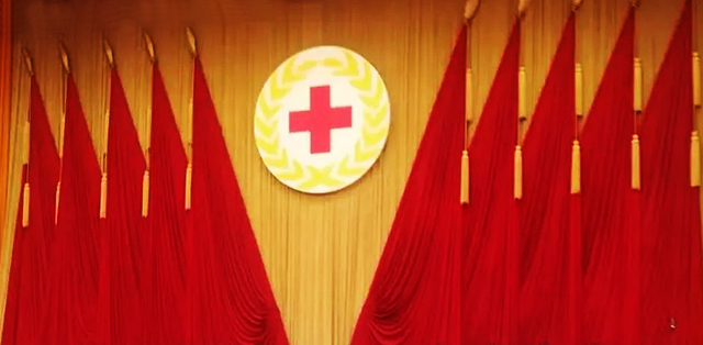 中国红十字会：汲取湖北省红十字会失职失责教训