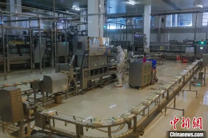 图为北大荒集团员工在豆制品生产线上工作。 吕品 摄
