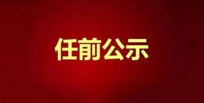 武汉拟火线提拔10名战&ldquo;疫&rdquo;一线表现突出干部