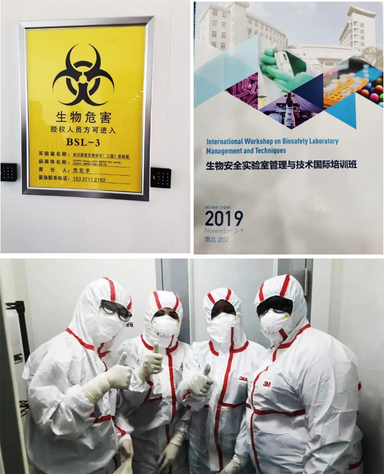 △2019年11月研讨会现场照 图片来源:《野兽日报》