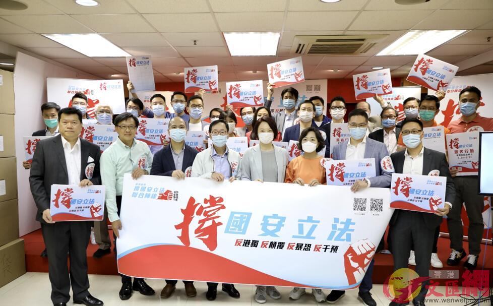“香港各界撑国安立法联合阵线”于24日成立 图自:文汇网